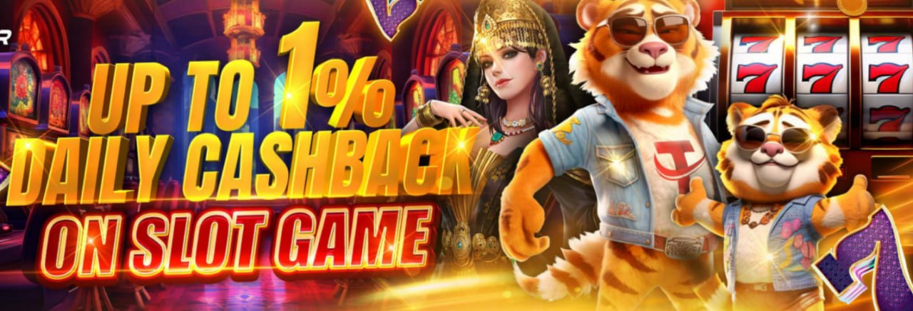 macibet